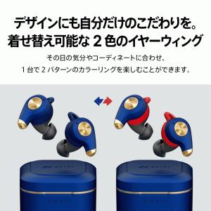 AVIOT TE-D01q2 ワイヤレスイヤホ...の詳細画像5