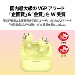 AVIOT TE-D01v ワイヤレスイヤホン...の詳細画像2