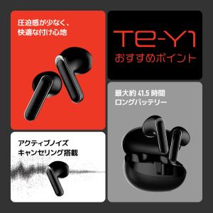 ワイヤレスイヤホン AVIOT TE-Y1 イ...の詳細画像1