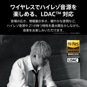 AVIOT TE-Z1PNK ピエール中野完全...の詳細画像5