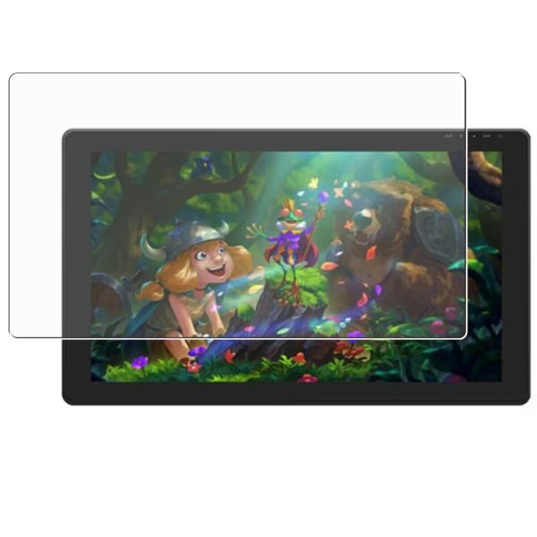 【保護フィルム】 HUION Kamvas RDS-220 用 DP 高機能反射防止 液晶保護フィル...