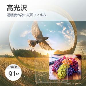 2枚セット Shot Navi INFINIT...の詳細画像4