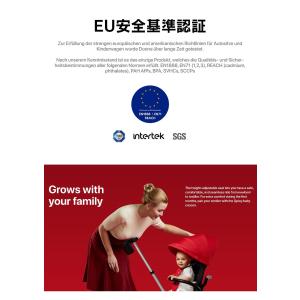 三輪車 折りたたみ かじとり ペダルフリー ハ...の詳細画像2