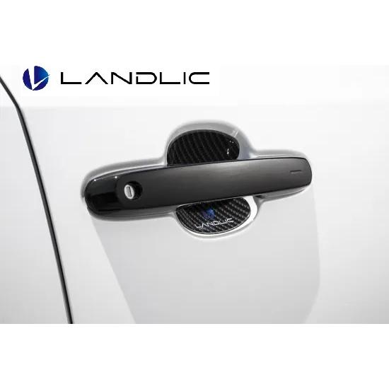 LAND-25EX-001 LANDLIC（ランドリック） ドアプロテクト ランクル250/ランドク...