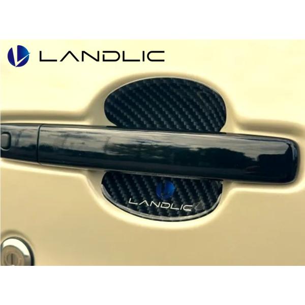 LAND-DMEX-002 LANDLIC（ランドリック） ドアプロテクト デリカミニ カーボン柄