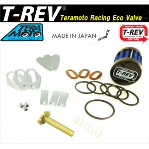 TERAMOTO【寺本自動車】4輪 T-REV α システム フルオーバーホールキット（T-REVαビルトインキャッチタンク対応）3044-Z01 ※新スロットル用