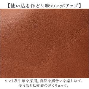 alto リュック AMSB-1700 アルト...の詳細画像4