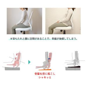 ドクターエルクッション 通販 マルチレスト 傾...の詳細画像3