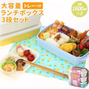 弁当箱 通販弁当箱 3段 重箱 三段 フレンズランチ 3段セット お重
