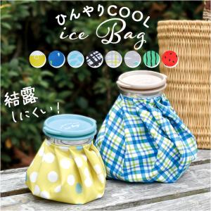アイスバッグ 氷嚢 通販 氷のう アイシングバッグ アイシング アイシングバック アイシングパック ひょうのう 携帯 繰り返し使える 熱中症対策 猛暑 小