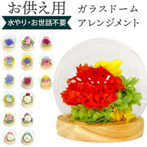 ガラスドーム インテリア アレンジメント 通販 ...の商品画像