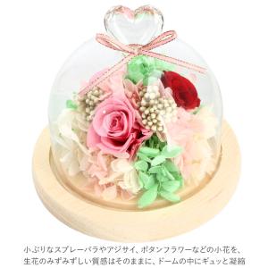 お供え プリザーブドフラワー ガラスドーム 通...の詳細画像2