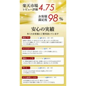 マッサージチェア カバー 通販 一人掛け 1人...の詳細画像3