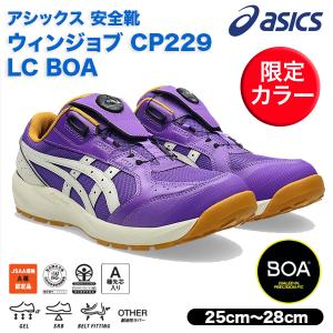 ASICS（アシックス） アシックス安全靴 ウィンジョブ CP209 BOA ボア