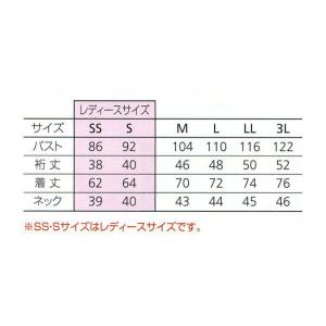 BURTLE 105 半袖ポロシャツ SS〜3...の詳細画像2