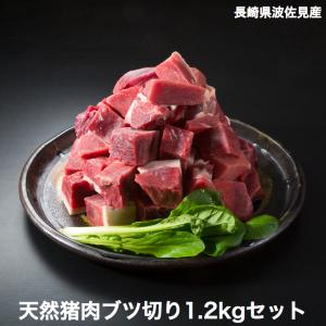 猪肉ブツ切り1.2kgセット（300g×4袋）長崎県産天然イノシシ肉