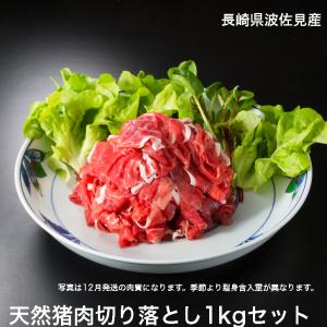 猪肉スライス切り落とし1kgセット（500g×2袋） 長崎県産天然イノシシ肉