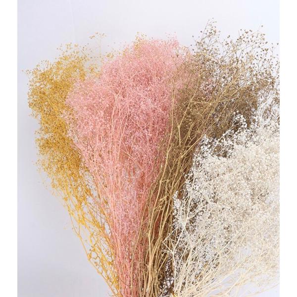 カスミソウ 11g かすみ草 ドライフラワー 模型 ジオラマ ミニチュア