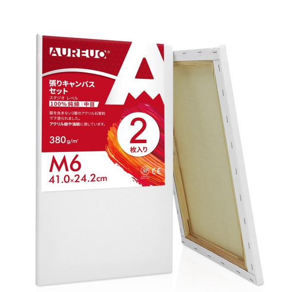 AUREUO 張りキャンバス セット M6 (41cmX24.2cm) 中目 100％コットン 2枚...