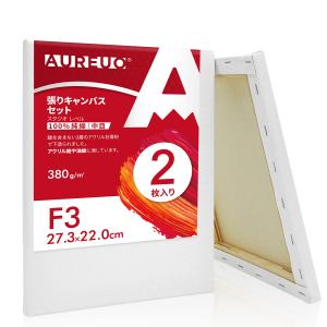 AUREUO 張りキャンバス セット F3  中目 100％コットン 2枚 初心者 絵画用具 芸術絵創作 現代油絵 美術