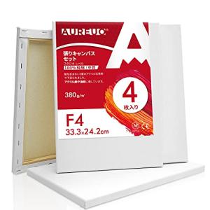 AUREUO 張りキャンバス セット F4  中目 100％コットン 4枚 初心者 絵画用具 芸術絵創作 現代油絵 美術