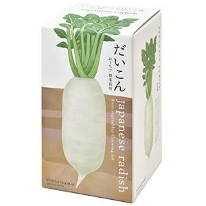 聖新陶芸 おうちで根菜栽培セット だいこん