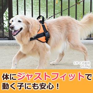 [ASHU] 中・大型犬用ハーネス 首に優しいクッションハーネス サイズL｜mochii0055