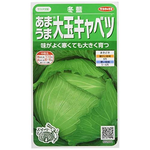 サカタのタネ 実咲野菜2011 あまうま大玉キャベツ 冬藍 00922011