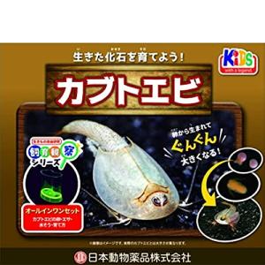ニチドウ 飼育観察セット カブトエビ