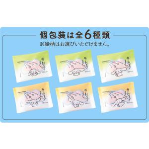 (※期日指定4月9日までお届け可)おまつりこま...の詳細画像2