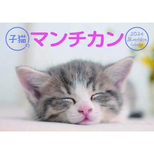 子猫のマンチカン　カレンダー　2024の商品画像