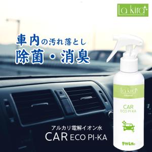 車 洗車 除菌 消臭 スプレー 車内 カーエコピカ 200ml