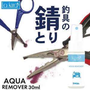 釣具 サビ落とし 錆取り スプレー AQUA REMOVER 30ml サビ落とし剤 錆取り剤 釣り フック 錆落とし クリーナー サビ取り 釣り針 プライヤー サビとり剤 錆び