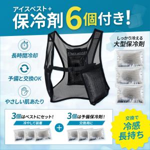 【大型保冷剤6個付】 アイスベスト 冷却ベスト...の詳細画像1