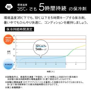大型保冷剤 3個セット 135mm × 185...の詳細画像1