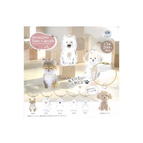 わんこのタイムカプセル 全５種  ヒロイチ ガチャポン　ガシャポン　ガチャガチャ