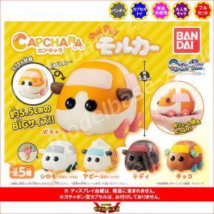 PUI PUI モルカー カプキャラ　PUIPUIモルカー 全５種  バンダイ ガチャポン　ガシャポン　ガチャガチャ