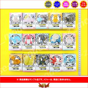 ポケットモンスター ポケモンキッズ キミとポケ...の詳細画像1