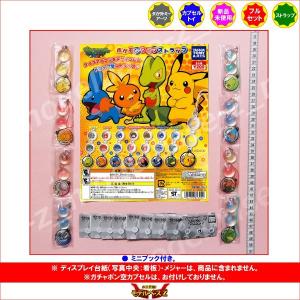 J賞 ミズゴロウ (30周年記念メタルチャーム) 】 一番くじ Pokemon 30th