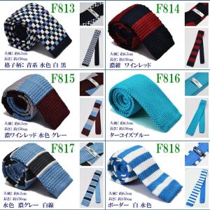 ニットタイ 選べる74柄 ネクタイ メンズ ロ...の詳細画像3