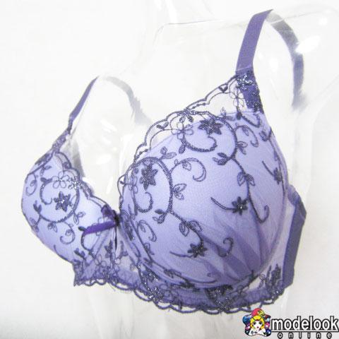 ブラショーツセット  E70 E75 E80 E85 F70 F75 F80 F85 ブラジャー シ...