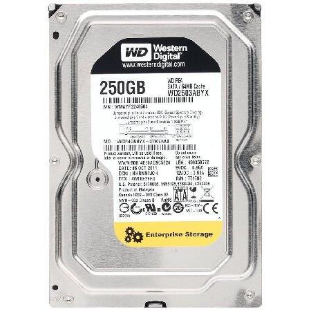 WD2503ABYX 250GB 7200RPM 64MBキャッシュ SATA 3Gb/s- RE4