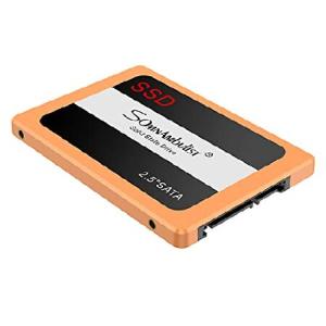 Somnambulist SSD 60GB SATA 500MB/s オレンジ-120GB