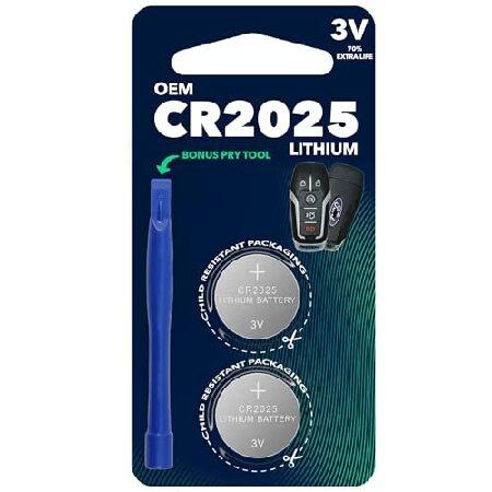 フォード リモコン用バッテリー CR2025 2個セット 2013-2018年モデル対応