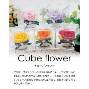 母の日 フラワーギフト キューブフラワー 選べ...の詳細画像2