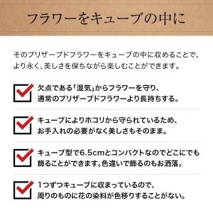 母の日 フラワーギフト キューブフラワー 選べ...の詳細画像5