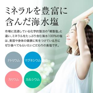 フレーバーナッツ パウダーソルト ミックスナッ...の詳細画像5