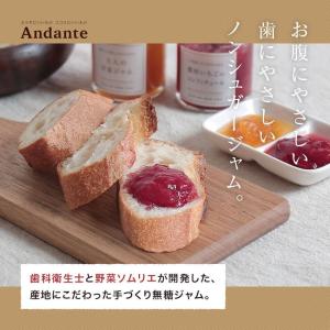 りんごと人参の元気ジャム 砂糖不使用 野菜×フ...の詳細画像1