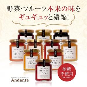 りんごと人参の元気ジャム 砂糖不使用 野菜×フ...の詳細画像2