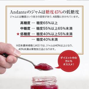 りんごと人参の元気ジャム 砂糖不使用 野菜×フ...の詳細画像5